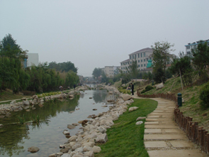 Zhangmian River greening landscape project