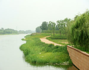 Beichen oasis greening project of Bailong River