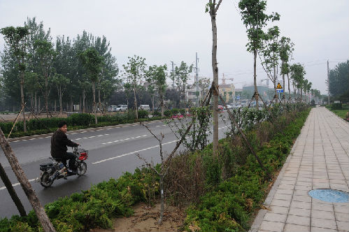 Wolong West Street, Weifang City (West Ring Road to Changshong Road)