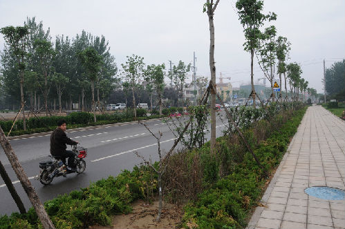 潍坊市卧龙西街（西环路—长松路）